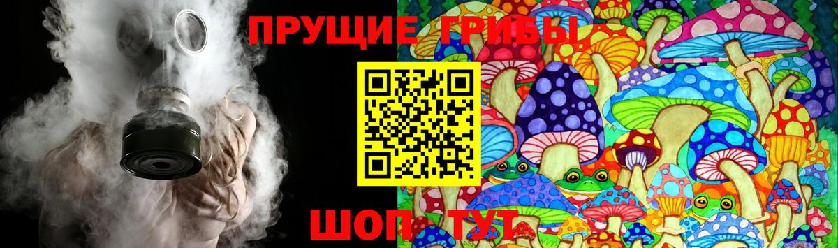 Псилоцибиновые грибы MAGIC MUSHROOMS  Вход с VPN  Дивногорск  Псилоцибиновые грибы Cubensis 